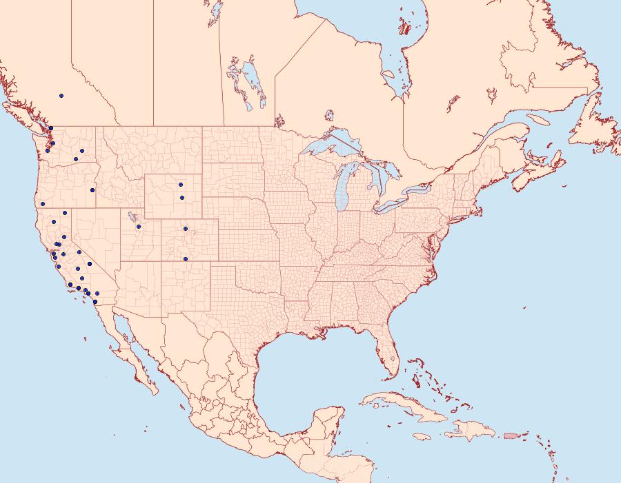 Distribution Data for Catocala faustina