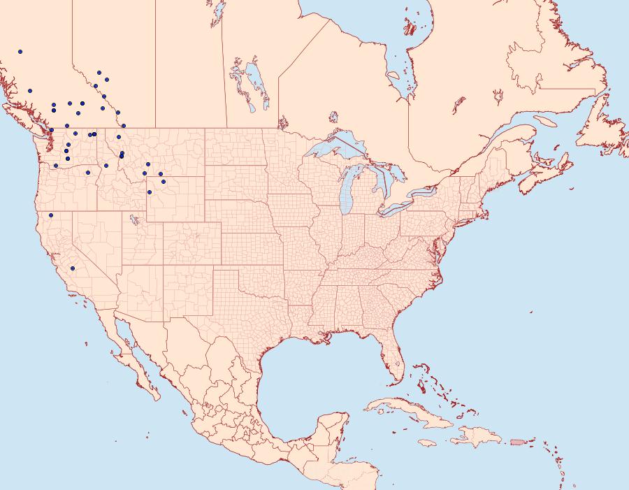 Distribution Data for Syngrapha orophila