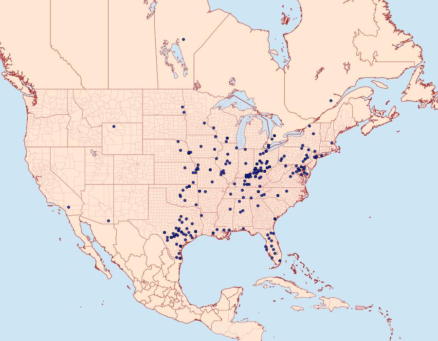 Distribution Data for Acronicta rubricoma