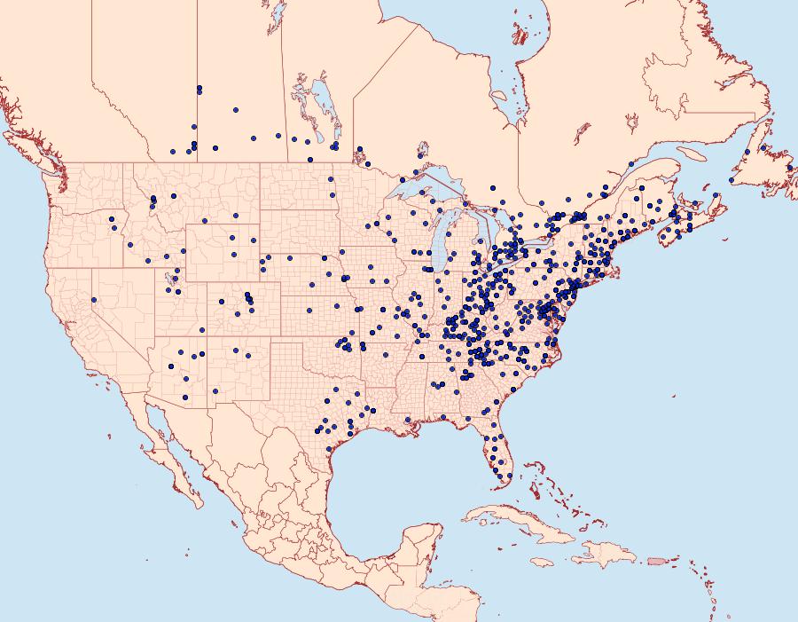 Distribution Data for Acronicta americana