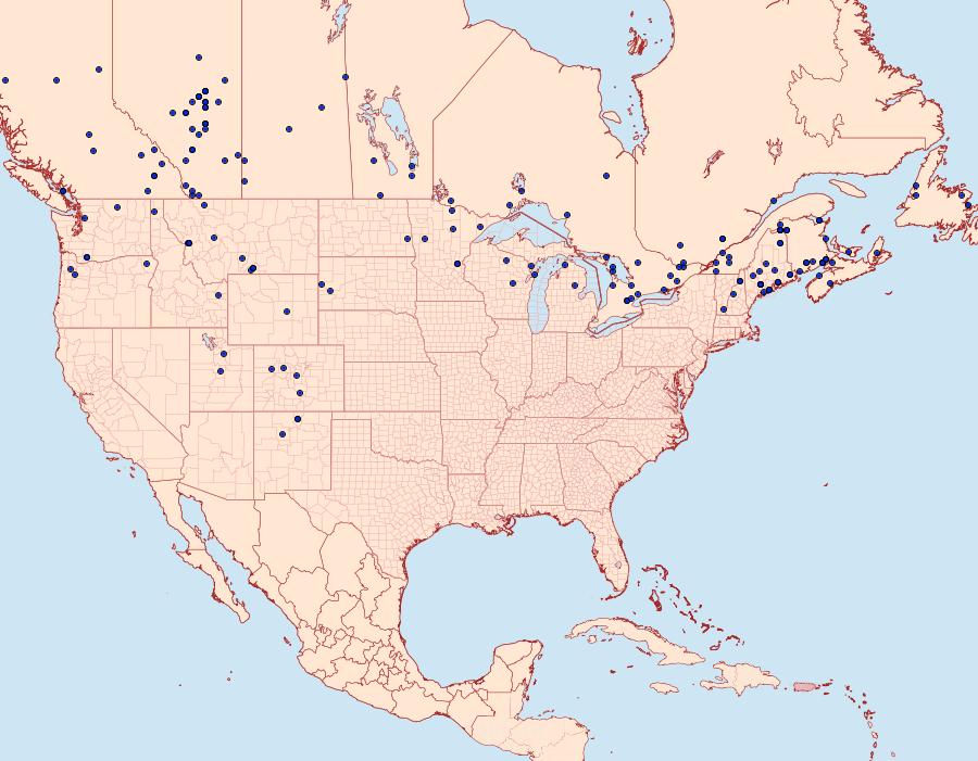 Distribution Data for Acronicta vulpina