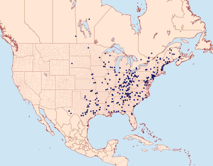 Distribution Data for Acronicta lobeliae