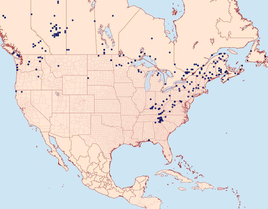 Distribution Data for Acronicta fragilis