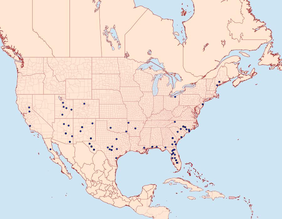 Distribution Data for Acronicta brumosa