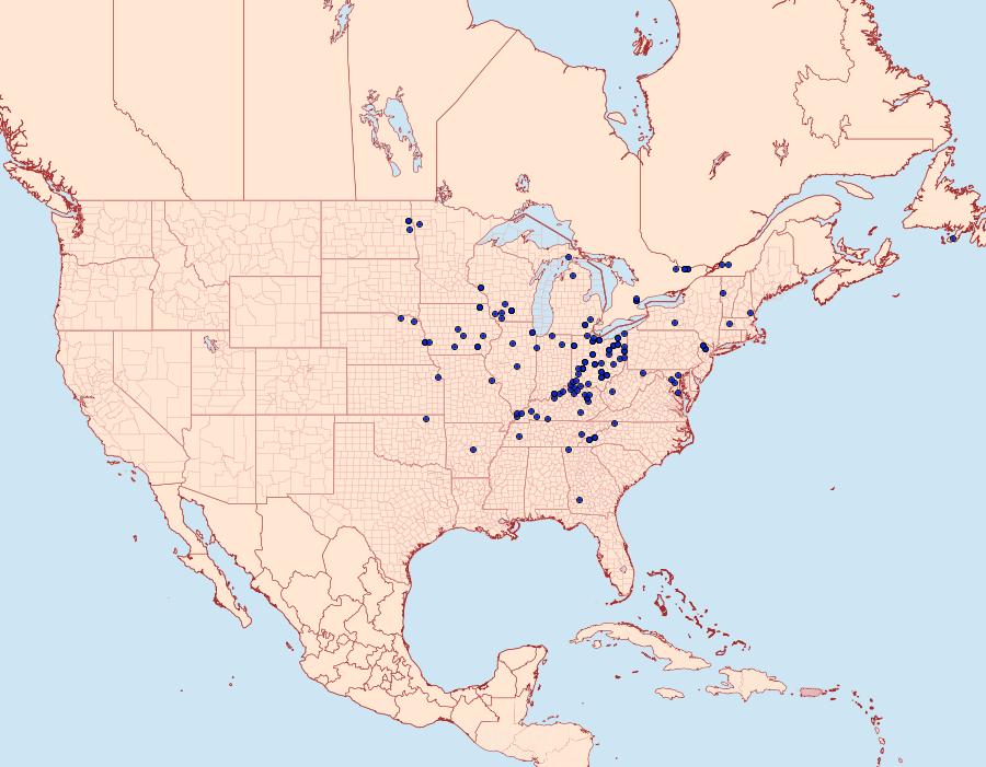 Distribution Data for Papaipema arctivorens