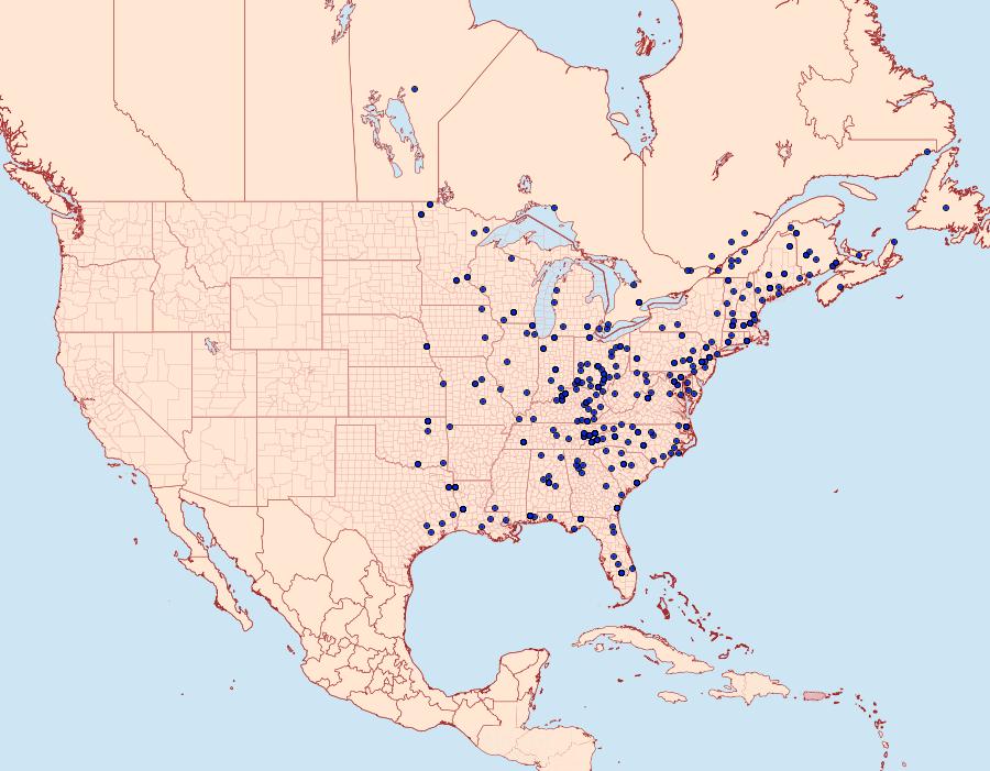 Distribution Data for Elaphria versicolor