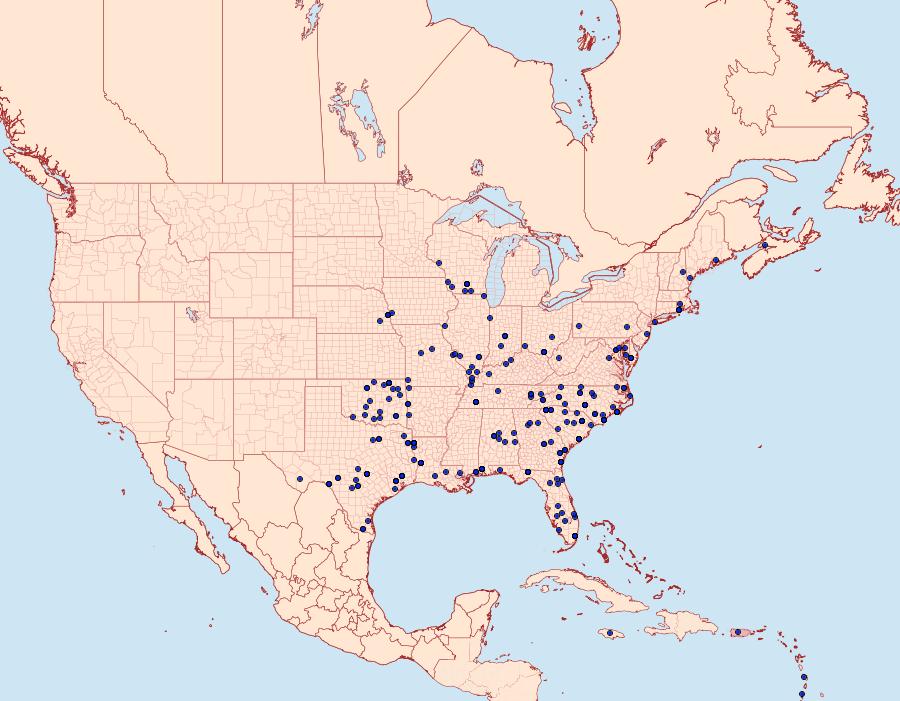 Distribution Data for Elaphria chalcedonia