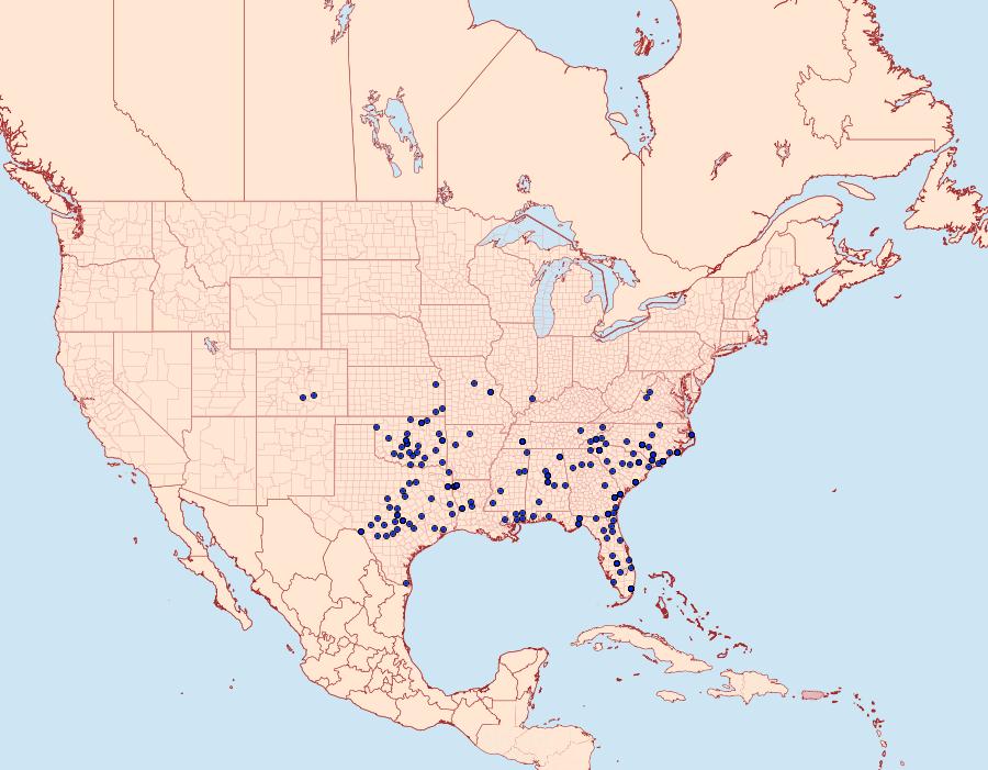 Distribution Data for Elaphria festivoides