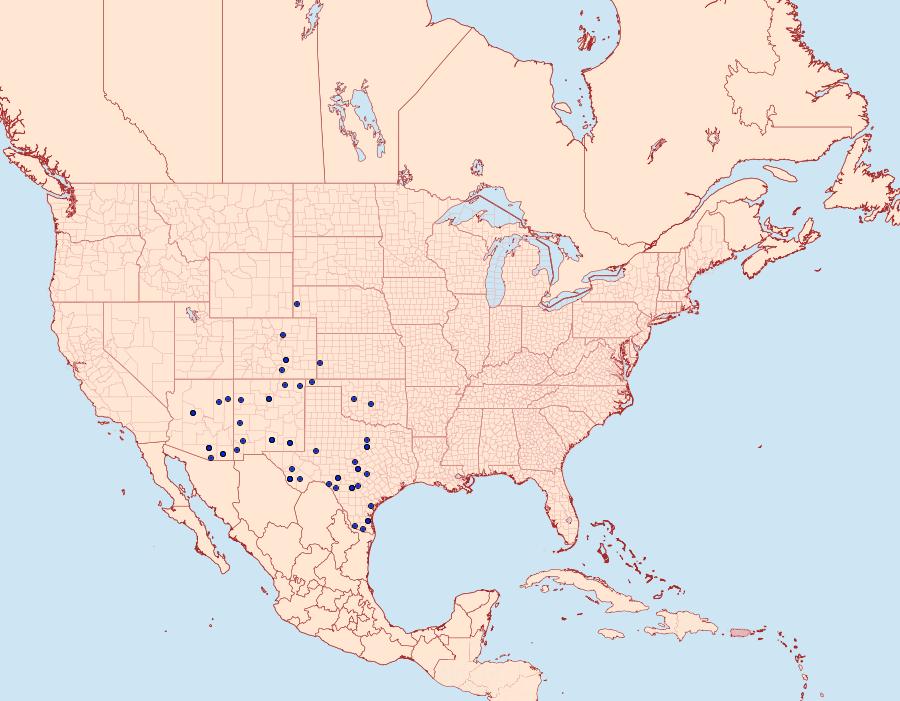 Distribution Data for Basilodes chrysopis